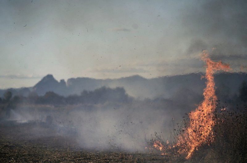 Φιλόδοξο σχέδιο: Ηλεκτρική ενέργεια από... άχυρα στον θεσσαλικό κάμπο | iefimerida.gr 1