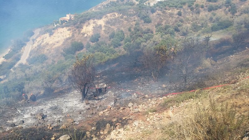 Φωτιά στα Χανιά/ Φωτογραφία Zarpanews
