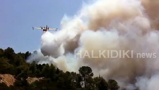 Συνεχίζει να καίει η φωτιά στη Χαλκιδική -Καλύτερη η κατάσταση σήμερα [εικόνες] | iefimerida.gr 1
