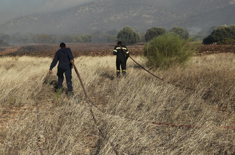 Σαρωνίδα: Εφτασε στην παραλία η μεγάλη φωτιά -Απειλούνται σπίτια [αποκλειστικές εικόνες & βίντεο] | iefimerida.gr 20