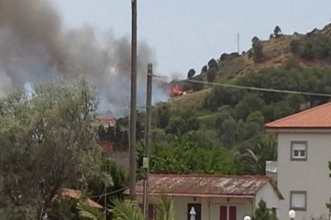 Έφτασε στα σπίτια η φωτιά στον Αγιόκαμπο Λάρισας - Πανικός στους κατοίκους [εικόνες&βίντεο] | iefimerida.gr 5