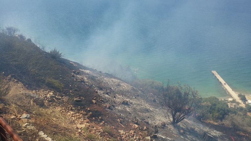 Φωτιά κοντά σε αναψυκτήριο στα Χανιά/ Φωτογραφία zarpanews