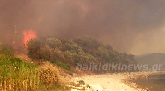 Συνεχίζει να καίει η φωτιά στη Χαλκιδική -Καλύτερη η κατάσταση σήμερα [εικόνες] | iefimerida.gr 3
