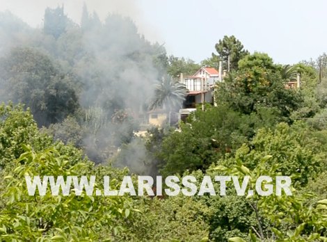 Έφτασε στα σπίτια η φωτιά στον Αγιόκαμπο Λάρισας - Πανικός στους κατοίκους [εικόνες&βίντεο] | iefimerida.gr 2