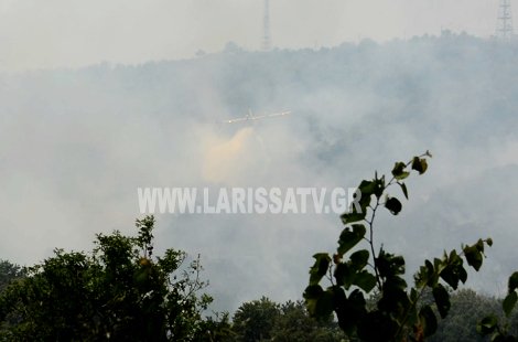 Μάχη με τις φλόγες σε Φθιώτιδα, Λάρισα και Κορινθία: Υπό έλεγχο τα μέτωπα [εικόνες&βίντεο] | iefimerida.gr 1