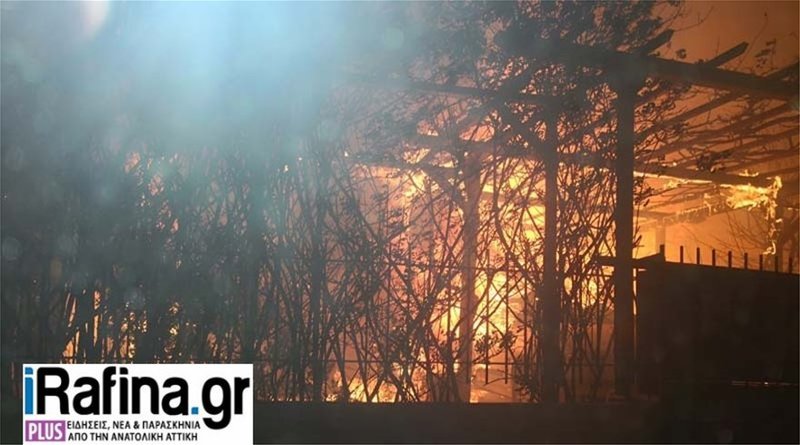 Σε κατάσταση εκτάκτου ανάγκης η Αττική -Ανεξέλεγκτες οι φωτιές [βίντεο] | iefimerida.gr 1