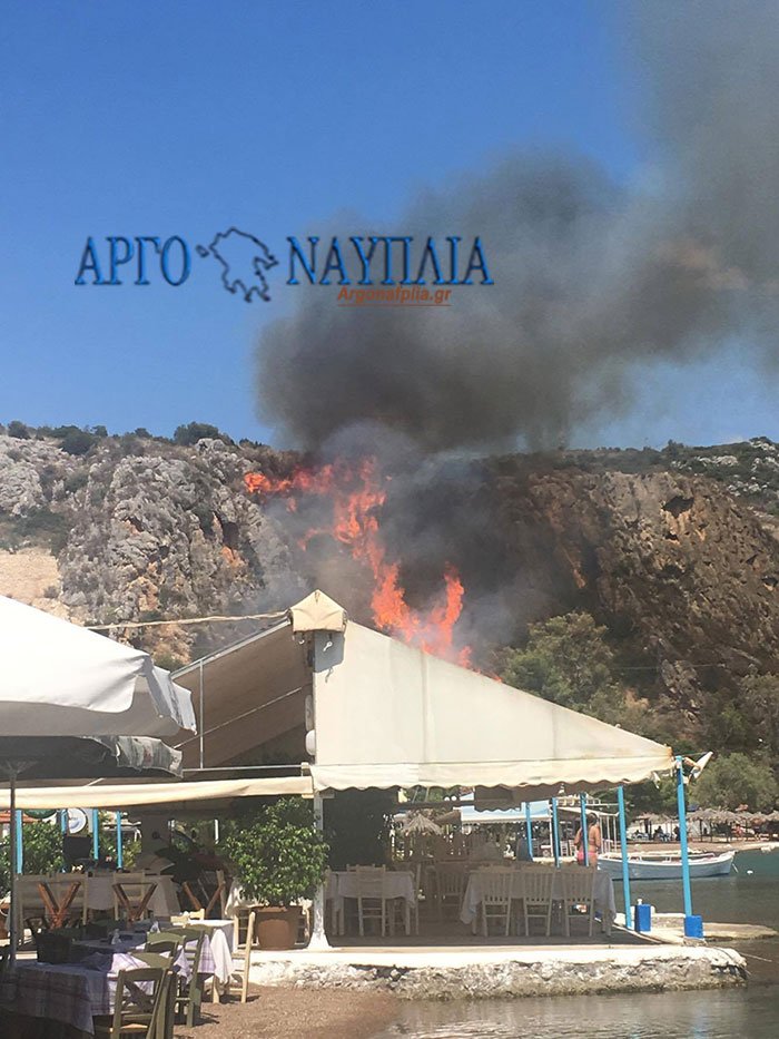 Αργολίδα: Φωτιά ξέσπασε στο Βιβάρι Δρεπάνου- Απειλεί κατοικημένη περιοχή [εικόνες & βίντεο] | iefimerida.gr 1