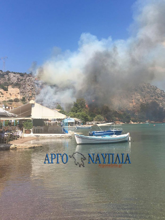 Αργολίδα: Φωτιά ξέσπασε στο Βιβάρι Δρεπάνου- Απειλεί κατοικημένη περιοχή [εικόνες & βίντεο] | iefimerida.gr 0