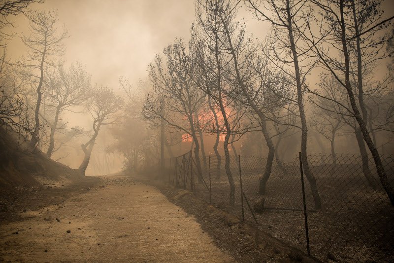Η στιγμή που σπίτι «λαμπαδιάζει» στην Κινέτα -Δραματικές ώρες για τους κατοίκους [εικόνες] | iefimerida.gr 4