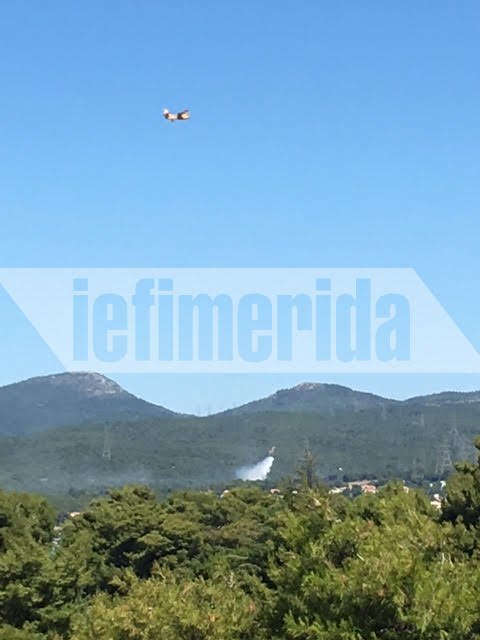 Σε ύφεση η πυρκαγιά στο Κρυονέρι Αττικής [εικόνες & βίντεο] | iefimerida.gr 5