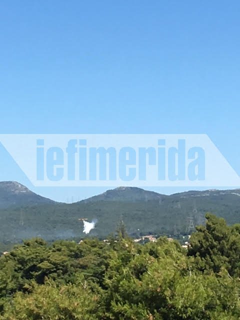 Σε ύφεση η πυρκαγιά στο Κρυονέρι Αττικής [εικόνες & βίντεο] | iefimerida.gr 6