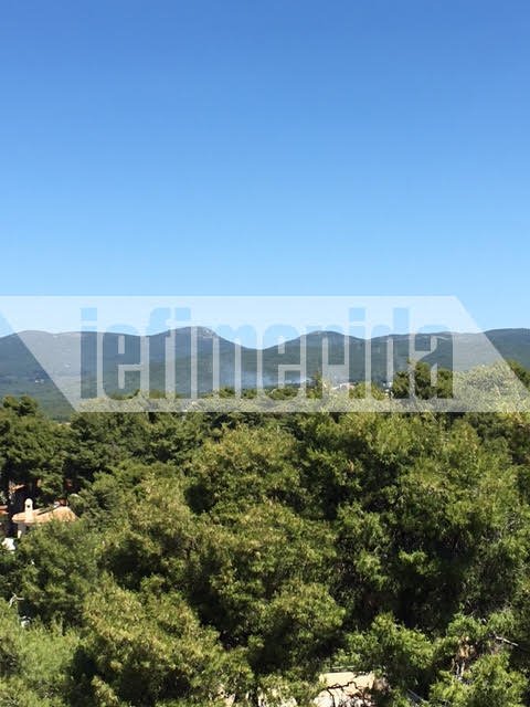 Σε ύφεση η πυρκαγιά στο Κρυονέρι Αττικής [εικόνες & βίντεο] | iefimerida.gr 3