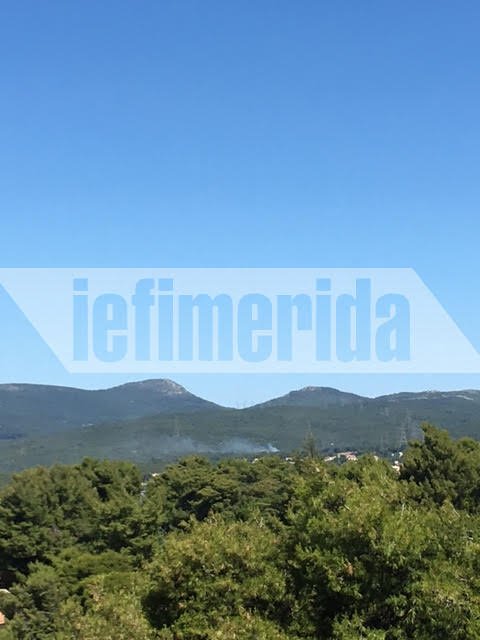 Σε ύφεση η πυρκαγιά στο Κρυονέρι Αττικής [εικόνες & βίντεο] | iefimerida.gr 4