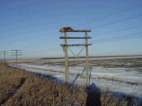 14 φωτογραφίες που έγραψαν Ιστορία λόγω του Ιντερνετ -Εγιναν viral και προκάλεσαν συζήτηση για την αυθεντικότητά τους [εικόνες] | iefimerida.gr 13