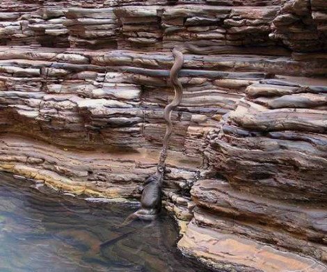 14 φωτογραφίες που έγραψαν Ιστορία λόγω του Ιντερνετ -Εγιναν viral και προκάλεσαν συζήτηση για την αυθεντικότητά τους [εικόνες] | iefimerida.gr 1