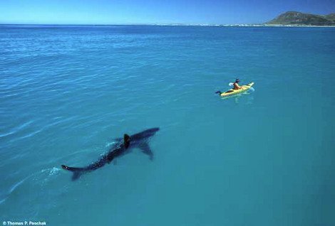 14 φωτογραφίες που έγραψαν Ιστορία λόγω του Ιντερνετ -Εγιναν viral και προκάλεσαν συζήτηση για την αυθεντικότητά τους [εικόνες] | iefimerida.gr 3