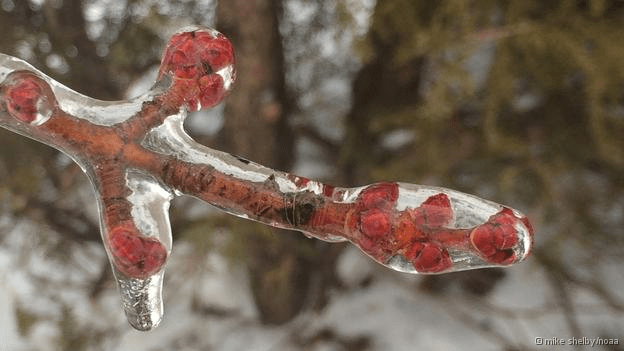Ανεμοστρόβιλος σκόνης, ένας σίφουνας στο δρόμο -10 φωτογραφίες φυσικών φαινομένων για... βραβείο [εικόνες] | iefimerida.gr 8