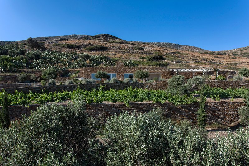 «Κάτω από τις φραγκοσυκιές»: Ενα σπίτι έκπληξη στην Ιο -Απέξω παραδοσιακό, από μέσα ορισμός του μίνιμαλ, σύγχρονου ντιζάιν [εικόνες] | iefimerida.gr 1