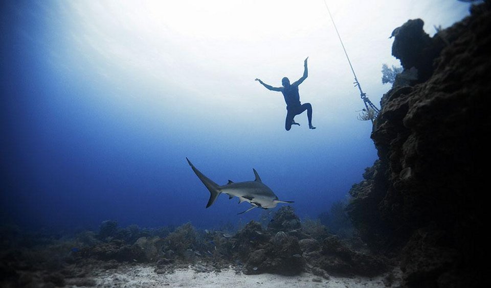 Βουτιές με καρχαρίες -Το ατρόμητο ζευγάρι από την Ισπανία που κολυμπά δίπλα τους χωρίς προστασία [εικόνες] | iefimerida.gr 10
