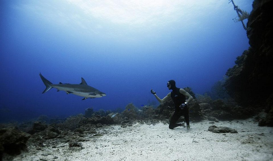Βουτιές με καρχαρίες -Το ατρόμητο ζευγάρι από την Ισπανία που κολυμπά δίπλα τους χωρίς προστασία [εικόνες] | iefimerida.gr 7
