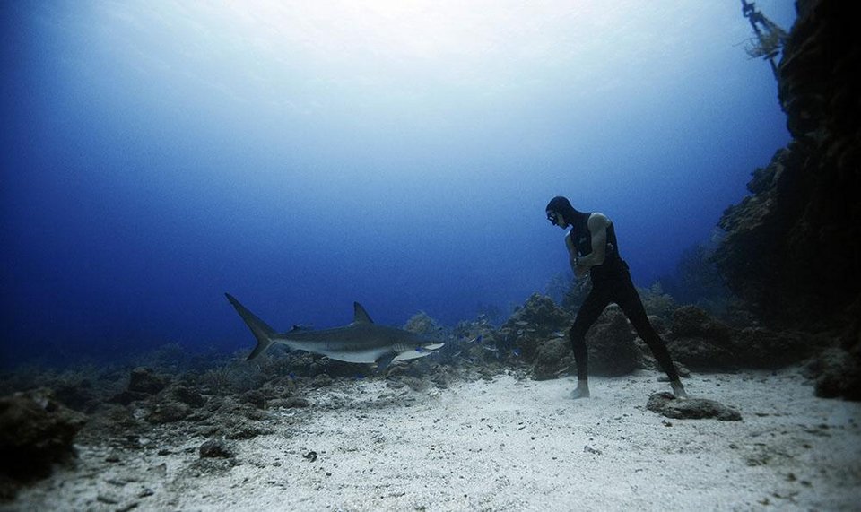 Βουτιές με καρχαρίες -Το ατρόμητο ζευγάρι από την Ισπανία που κολυμπά δίπλα τους χωρίς προστασία [εικόνες] | iefimerida.gr 8