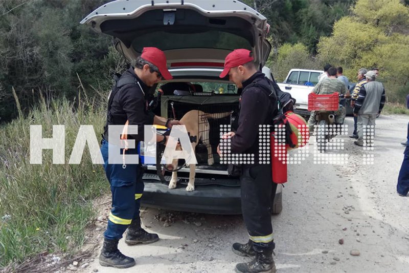 «Θρίλερ» με την εξαφάνιση 50χρονης στην Ηλεία -Μεγάλη επιχείρηση αναζήτησης [εικόνες] | iefimerida.gr 2