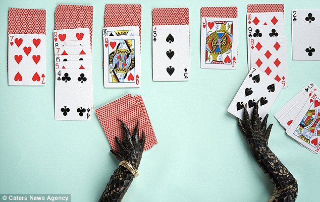 Φρικιαστική έκθεση με μέλη νεκρών ζώων -Εκαναν μανικιούρ σε νύχια κοτόπουλου [εικόνες] | iefimerida.gr 0