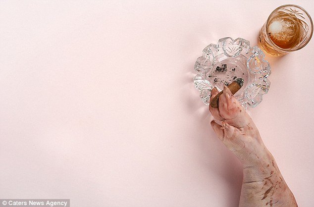 Φρικιαστική έκθεση με μέλη νεκρών ζώων -Εκαναν μανικιούρ σε νύχια κοτόπουλου [εικόνες] | iefimerida.gr 1