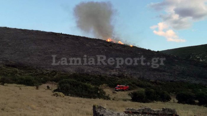 Φωτιά στoν Εξαρχο Αταλάντης [εικόνες & βίντεο] | iefimerida.gr 0
