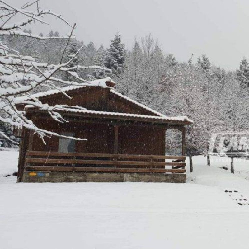 Η μισή Ελλάδα στα λευκά -Εκπληκτικές εικόνες, χιόνι μέχρι τη θάλασσα [εικόνες & βίντεο] | iefimerida.gr 10