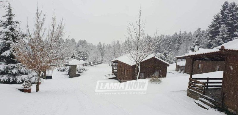 Η μισή Ελλάδα στα λευκά -Εκπληκτικές εικόνες, χιόνι μέχρι τη θάλασσα [εικόνες & βίντεο] | iefimerida.gr 11
