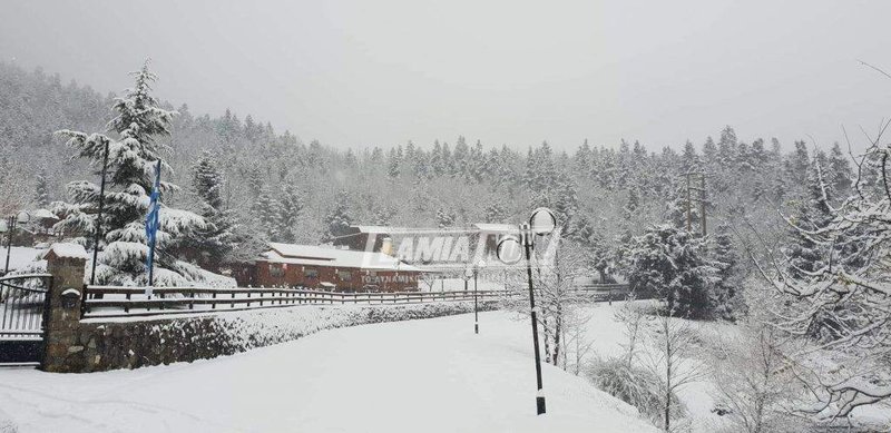 Η μισή Ελλάδα στα λευκά -Εκπληκτικές εικόνες, χιόνι μέχρι τη θάλασσα [εικόνες & βίντεο] | iefimerida.gr 12