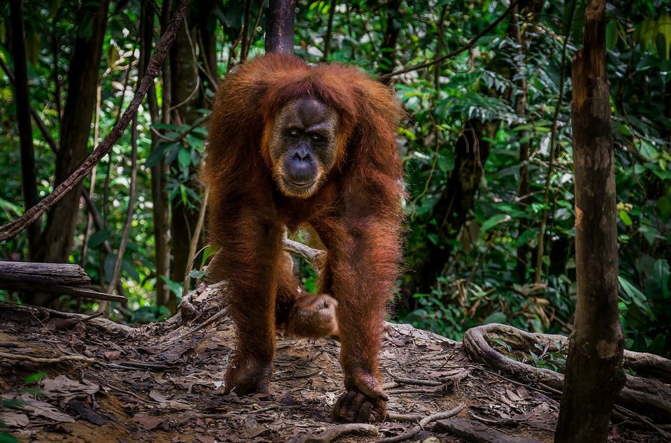 Οι 10 φθηνότερες χώρες για τους τουρίστες -Απαιτείται θάρρος για το ταξίδι εκεί [εικόνες] | iefimerida.gr 7