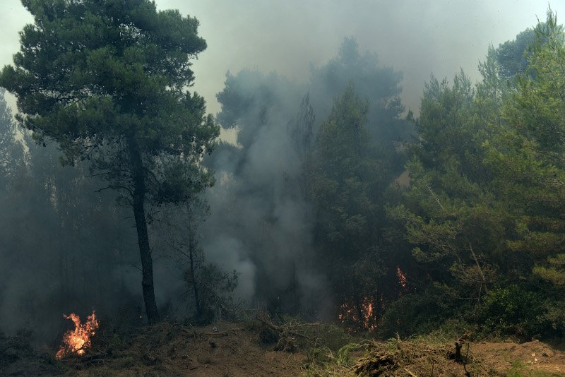 Χωρίς ενεργό μέτωπο η φωτιά στην αν.Αττική -Ολες οι εξελίξεις | iefimerida.gr 12