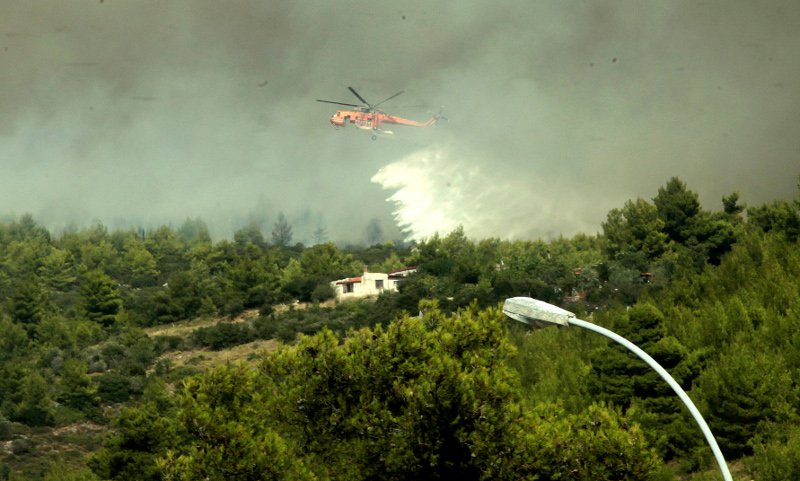 Χωρίς ενεργό μέτωπο η φωτιά στην αν.Αττική -Ολες οι εξελίξεις | iefimerida.gr 14