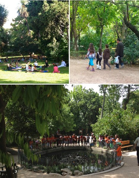 Πώς και γιατί ο Καμίνης θα καταστρέψει τον Εθνικό Κήπο [εικόνες] | iefimerida.gr 7