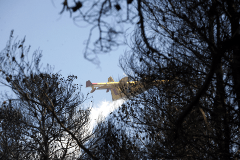 Αποκαΐδια και καμμένα σπίτια άφησε πίσω της η φωτιά σε Βαρυμπόμπη και Πάρνηθα [εικόνες] | iefimerida.gr 3