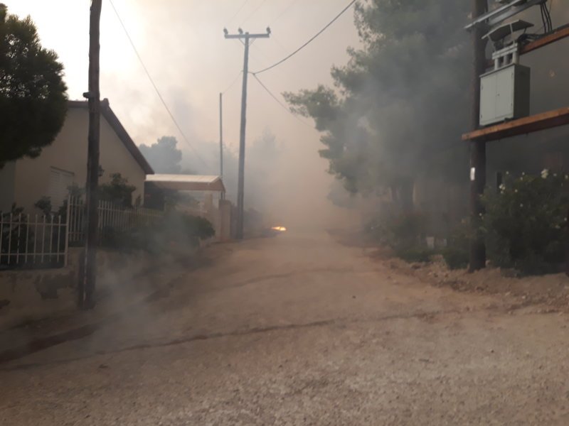 Μεγάλη φωτιά στην Κινέτα -Εκκενώθηκαν τρεις οικισμοί, καίγονται σπίτια [εικόνες & βίντεο] | iefimerida.gr 17