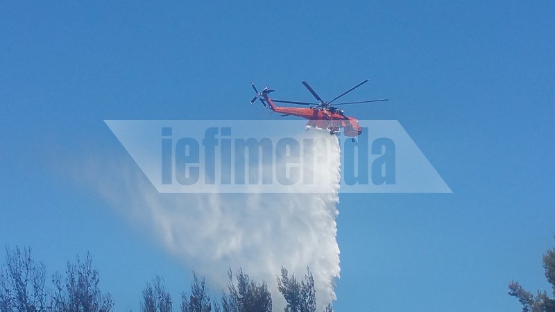 Σε ύφεση η πυρκαγιά στο Κρυονέρι Αττικής [εικόνες & βίντεο] | iefimerida.gr 0