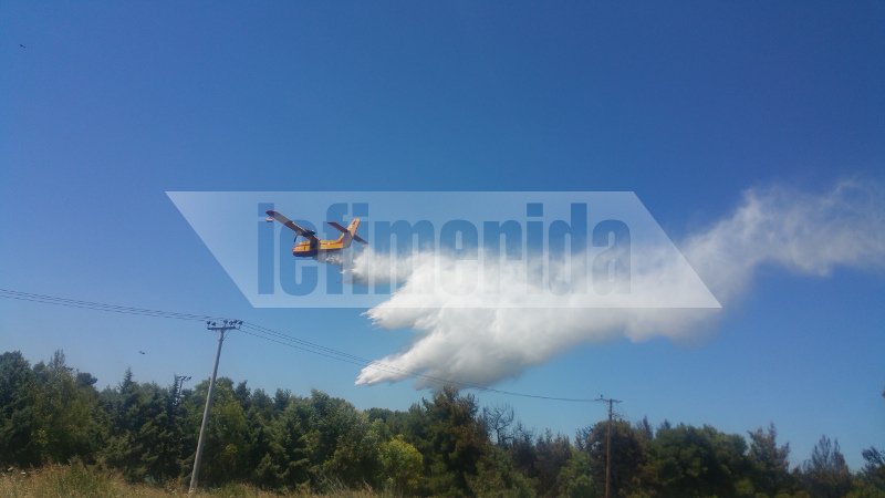 Σε ύφεση η πυρκαγιά στο Κρυονέρι Αττικής [εικόνες & βίντεο] | iefimerida.gr 1