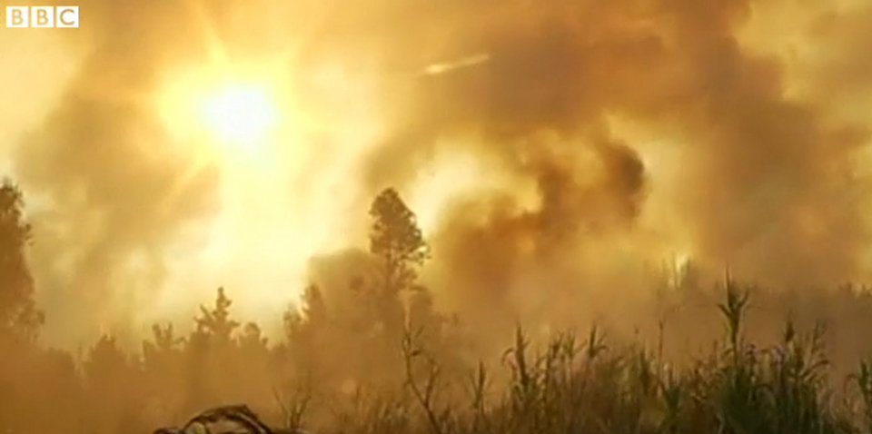 Σε πύρινο κλοιό το Βαλπαράισο στη Χιλή: Καίγονται δασικές εκτάσεις [εικόνες] | iefimerida.gr 2