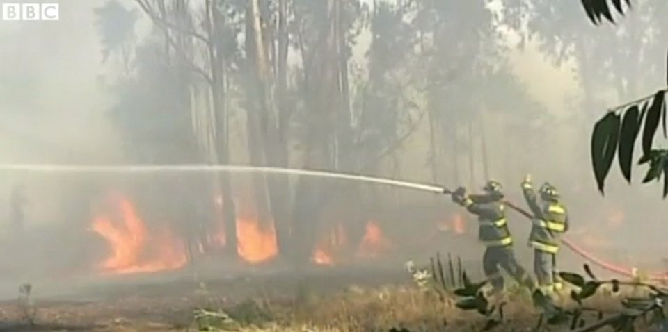 Σε πύρινο κλοιό το Βαλπαράισο στη Χιλή: Καίγονται δασικές εκτάσεις [εικόνες] | iefimerida.gr 4