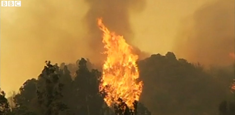 Σε πύρινο κλοιό το Βαλπαράισο στη Χιλή: Καίγονται δασικές εκτάσεις [εικόνες] | iefimerida.gr 3