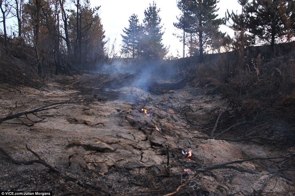 Τρόμος από τα πύρινα τείχη στην Αυστραλία -Συγκλονιστικές εικόνες από την πυρκαγιά, που μαίνεται εδώ και 3 εβδομάδες [εικόνες]  | iefimerida.gr 7