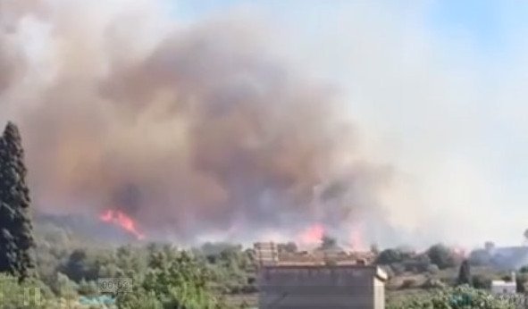 Τεράστιες καταστροφές από τη φωτιά στην Κρήτη -Στάχτη πάνω από 5.000 στρέμματα [εικόνες] | iefimerida.gr 2