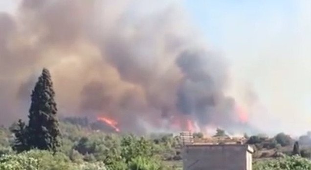 Τεράστιες καταστροφές από τη φωτιά στην Κρήτη -Στάχτη πάνω από 5.000 στρέμματα [εικόνες] | iefimerida.gr 3