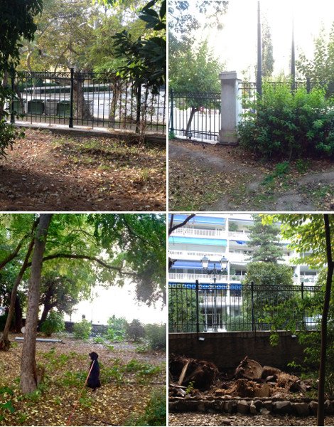 Πώς και γιατί ο Καμίνης θα καταστρέψει τον Εθνικό Κήπο [εικόνες] | iefimerida.gr 8