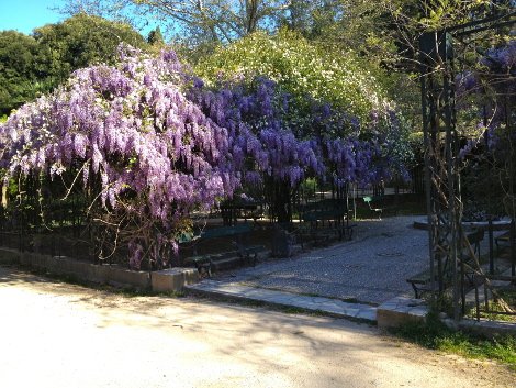 Πώς και γιατί ο Καμίνης θα καταστρέψει τον Εθνικό Κήπο [εικόνες] | iefimerida.gr 14