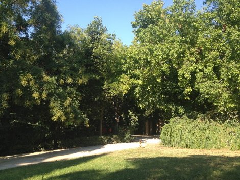 Πώς και γιατί ο Καμίνης θα καταστρέψει τον Εθνικό Κήπο [εικόνες] | iefimerida.gr 17