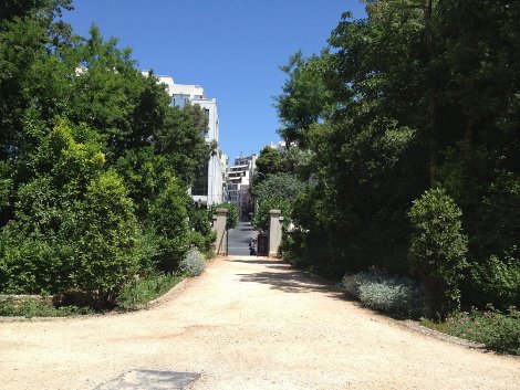 Πώς και γιατί ο Καμίνης θα καταστρέψει τον Εθνικό Κήπο [εικόνες] | iefimerida.gr 22